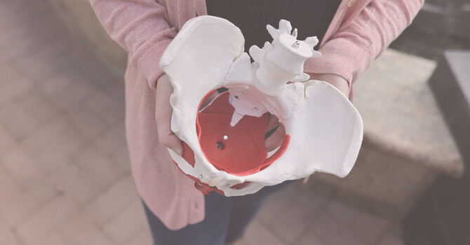 Pelvic Organ Prolapse
