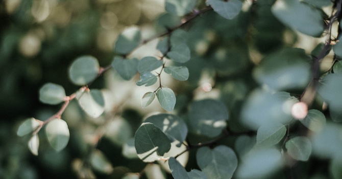 Most People Never Notice THIS About Their Pelvic Floor